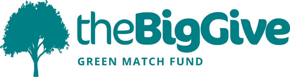 The BigGive_GreenMatch logo