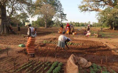 WasteAid awarded EU funding for climate resilience in The Gambia