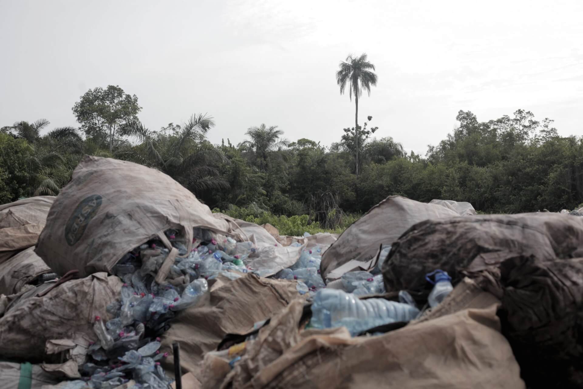 WasteAid_Cameroon