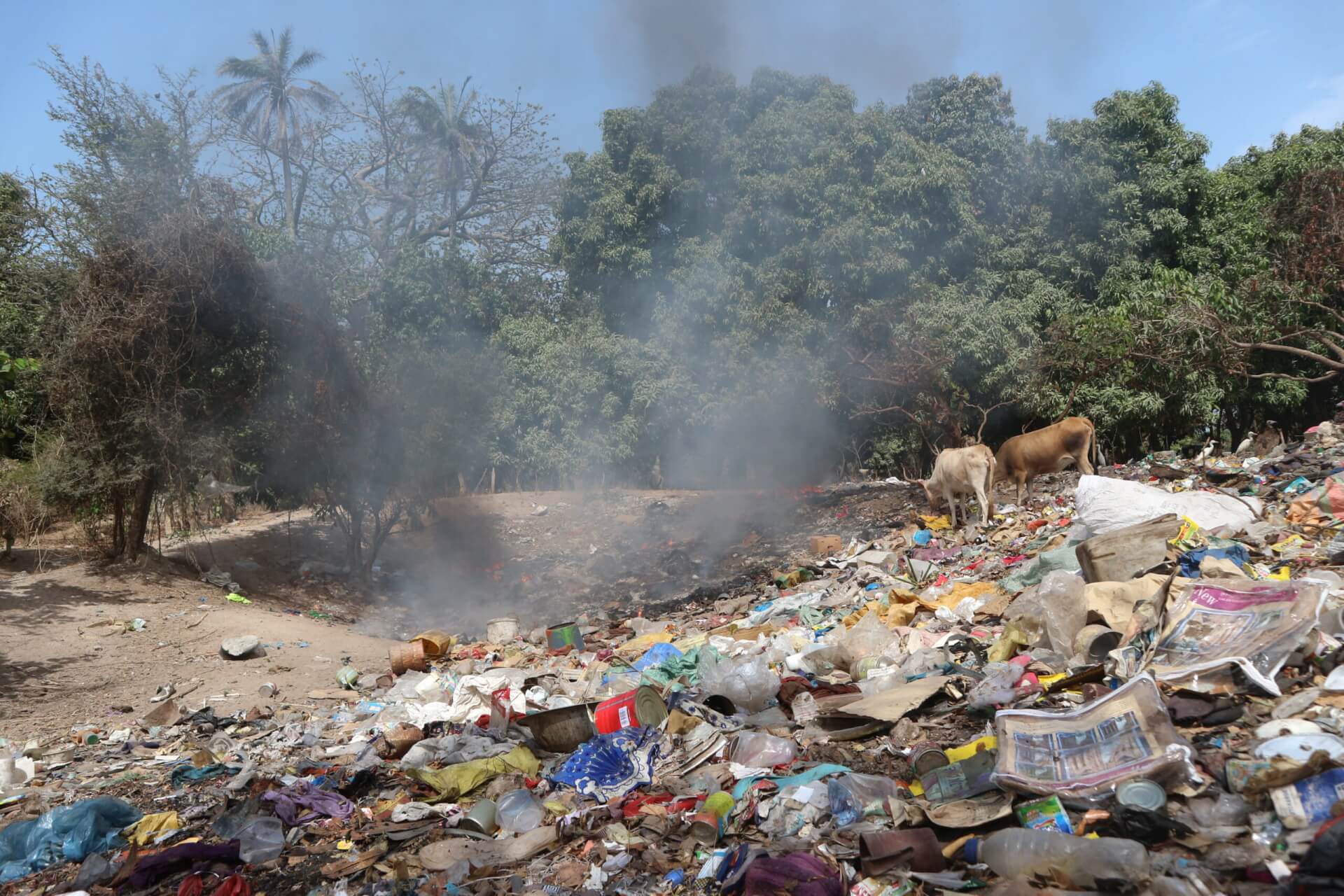 Informal waste dump in The Gambia with open burning